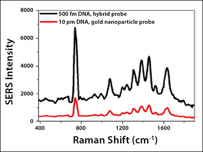 sers-based detection of a segment of the hiv-1 gag-gene